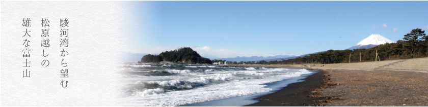 Mt. Fuji over the Suruga Bay